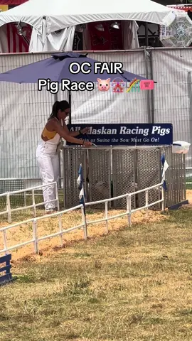 If you visit #orangecounty make sure to visit the #ocfair AND the 🐷 race! It was the highlight of the visit! 🎡🎟️🎢🎠🍦#ocjobcoach #ocfair2023 #costamesa #california 