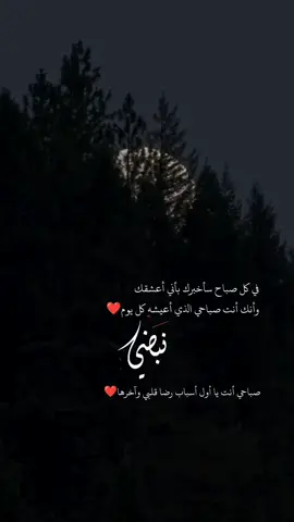 #اجمل_عبارة_راح_ثبتها📌 #حميدوs10x #عبارات_حب #منشن_للحب♥️ #fypシ 