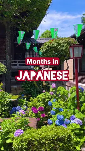All the months of the year - in Japanese! 🎌 🤠 ✈️ 🇯🇵 Do you want to spend a year in Japan studying Japanese at a language school? We can help you with everything from finding a school to applying for a student visa, finding accommodation in Japan, and more! 📚 Next study start is January 2024 - contact us soon 💌, so that we can help you collect/fill in all documents by the application deadline: August 28th 💪 💻 Contact us via our website - link in bio! #Japan #Monthsinjapanese #learnjapanese #japanese #Japaneselesson 