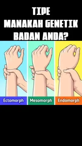 #ectomorph #endomorph #mesomorph 