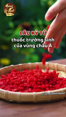 Bạn đã biết công dụng của kỹ tử đỏ chưa ? #tiemtrahuongque #trathaomoc #kytudo #dcgr #dc #LearnOnTikTok #trà