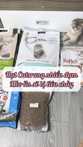 Sự thật về hạt catsrang #LearnOnTikTok #luomwcat #catsoftiktok #nuoimeo #luombeo #chamsocmeo 