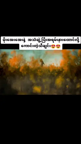 #relaxing moment#single ပေမယ့် special feel တတ်တယ်😄#myanmar 