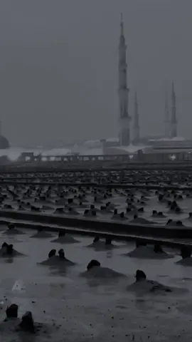 #CapCut #إن_الحياة_قليلة_لذاتها #اللهم_ردنا_اليك_رداً_جميلاً_ياارب🤲 #يارب❤️ #foryou #foryourpage #frypgシ💗 #حنايا_الروح 