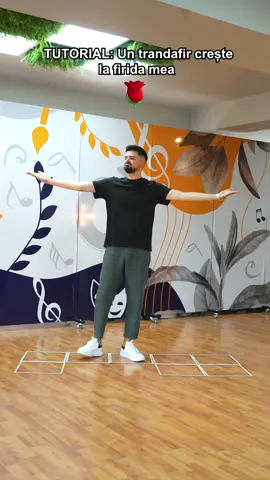 Ce melodie iti doresti sa inveti, sa o poti dansa la urmatoarea petrecere? 🤔😍 #invatapetiktok #dansez #dansulmirilor #nunta #romania🇷🇴 #viral