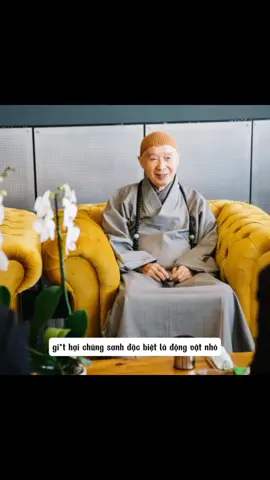 Vì Sao Các Loài Động Vật Như Kiến Gián Hay Quấy Nhiễu Chúng Ta? #phapsutinhkhong #hoathuongtinhkhong 