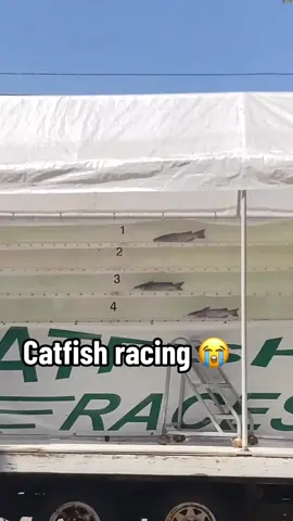 Bro cashed out 😂 (via xarchxdawgx/IG) #catfish #race #racing 