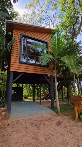 Conheça o chalé Paraíso! 🏡😍 Este chalé Estilo casa na árvore, une natureza e conforto para uma experiência incrível! ❤ Gostou? Reserve no site, ou chama a nossa equipe no WhatsApp, link na bio! #AprendaNoTikTok #chaleromantico #chalesdeluxo #chales #experienciaromantica #destinosdeférias 