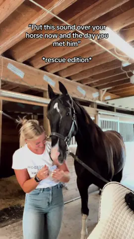 Buckle up, I might do one if these for each of my rescues🥹💙. My sweet Leo. #rescuehorse #horsesoftiktok #horse 