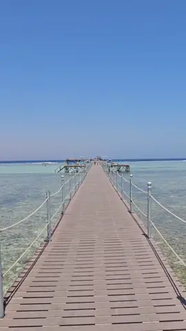 #Egypt #SharmElSheikh #Travel #Explore #TravelTok #Summer #Holiday #Love #Viral #RoyalAlbatrosModerna #PickAlbatros #Fyp 