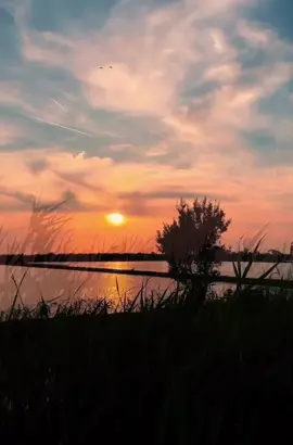 اجمل الابيات من قصيدة ابا الاحرار للدكتور الشيخ أحمد الوائلي عن الامام الحسين .#هديه🎁 