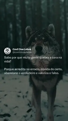 #parapensar #reflexão #motivacao #covildoslobos #lobos #wolfs #motivacional #frasesdemotivação #frasesdeimpacto 