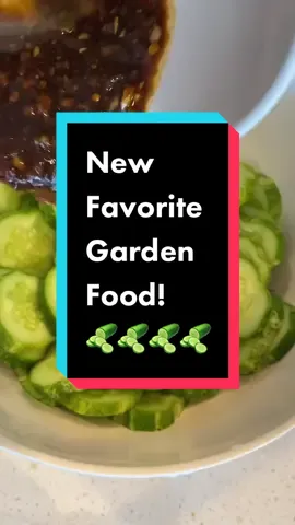 This is my newest favorite food that I made from a garden harvest. Do you know what it could be called? I used chili crisp and soy sauce as well as homegrown garlic and onions to my garden cucumbers. Do not skip the step in the beginning where I salted the cucumbers and let them sit for about 5 minutes. Rinse thoroughly to make your cucumbers extra crunchy but not salty. So good!! #harvesttoplate #cucumbers #gardentok #gardentoplate 