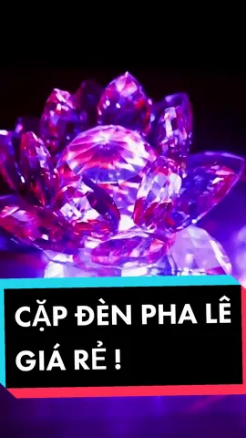 Cặp đèn thờ PHA LÊ hình sen giá chưa đến 300k #phatgiaohoahao🙏 #dentho #denhoasenbanthophat #denhoasen #denbanthophat #denbantho #denhaoquang #denthophale #dcgr 