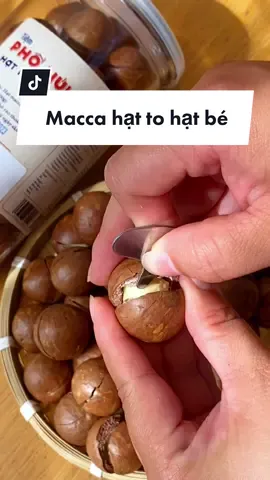 Macca nhà Tiệm luôn đạt chất lượng #macca #hatdinhduong #tiemphonui