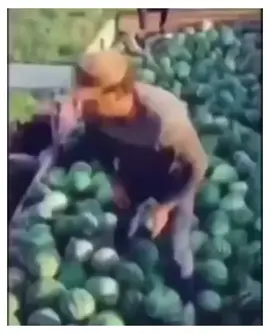 👍🏼 #shitposting #meme #foryou #funny #fyp #shitpost 