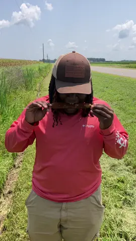 he told me this was a wild sweet cornfog😭 #agriculture #corndog #gotpranked #keithlee #tastereview 