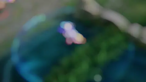 Về vương giả hiệu ứng ưng nha #王者荣耀 #vuonggiavinhdieu #vgvd #honorofkings #kingofglory #hok #marcopolo #skin #sdreamer #laville #lienquan #aov #lienquanmobile #lienqunatiktok #rov #fyp #xh #xuhuong 