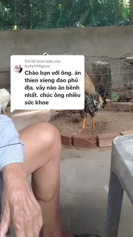 Trả lời @dy5yt9l9geyu những ae mà mình chưa tl ae được ae thông cảm cho mình nha ae,c,on ae nhiều 🥰