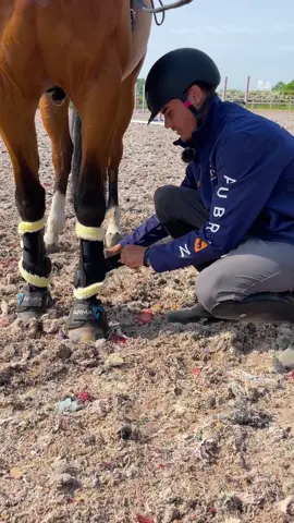 Shires Pro Rider, Tom Woodward, shares why he loves the ARMA OXI-ZONE SupaFleece horse boots… #shiresprorider #eventrider #eventersoftiktok #eventersontiktok #eventinglife #eventinghorse #equestriantips #horsetip 