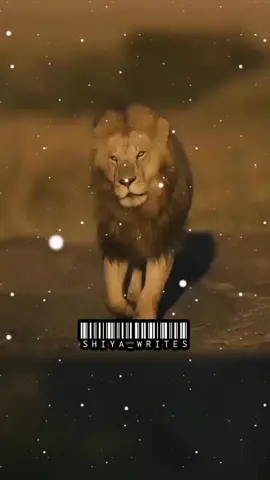 ALLAH K SHER KO ALI A.S KEHTAY HAI🔥🚩💯#shiya #shiya_writes #foryou #growmyaccount 