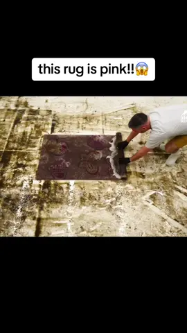 #rugcleaning 