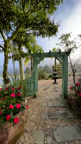 Bom dia Santa Catarina! 518 Amanhecer neste paraíso, ✨🫶💚🇧🇷 Vale dos Ventos Chalés em Rio dos Cedros♥️#fypシ゚viral #brasil🇧🇷 #catcup #paravocê #parati 