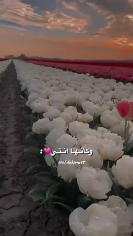 #جميله_انتي_كجوريه_في_حقل_ياسمين #جميله_الجميلات #كلام_جميل #مشاهير_تيك_توك_مشاهير_العرب #الشعب_الصيني_ماله_حل😂😂 #اكسبلور؟ #f#ypシ゚viral🖤video🤗foryou #ypシ゚viral☆♡ @كل شيء مميز ومفيد ستجده هنا 💯 ypシ゚viral #foryoupage #مشاهدات100k🔥 #piata #اكسبلورexplore #viewတေရှယ်ကျ 