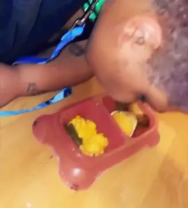 Nah this is wild😩😩🤣 #queen #queenoppandmichelle #queenopp #queenoppandchelle #queenopplive #queenoppanddani #dog #michelle #viralvideo #sad #fyp #viraltiktok 