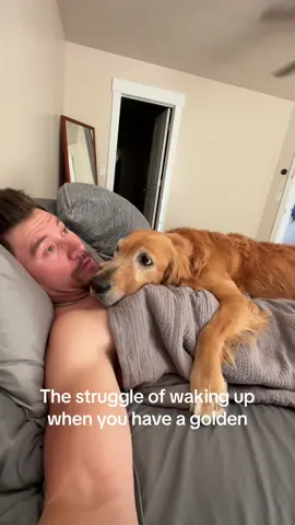 Guess im having Nala pancakes for breakfast 