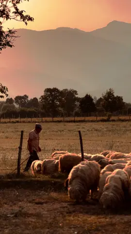 Countryside life.. #🇽🇰🇦🇱 #katun #kosov 