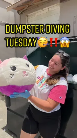 Went Dumpster Diving today and found Brand New Toys🥳🥳🥳 #fyp #jackpot #toys #dumpsterdivingfinds #meldidumpsterdive #dumpsterbabe #dumpsterhaul #dumpsterdiving #tjmaxxfinds #tjmaxxhaul 