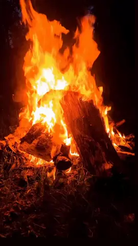 #kwsfet #ibrahimtatlisess #sabirtasinadöndüm #kwsfet 