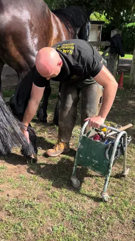 Clean frog trim #samdracottfarrier #farrier #asmr #oddlysatisfying #satisfying #horse #equestrian 