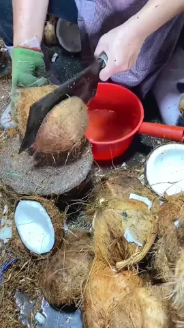OMG 🥥😱 !! Coconut 🌴🥑🥒🍆🍅🥭#Coconut #fruit #asmr #fyp #fypシ #fy
