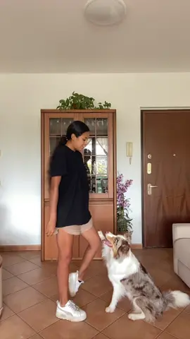 #dance #dogdance #fyp 