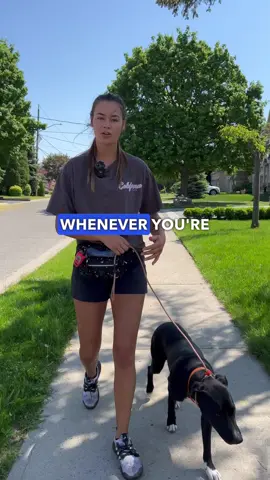 There really is an art to teaching a dog how to walk with slack in the leash. Be specific in vour timing of corrections when making your direction change. Don't wait for your dog to reach the end of your leash before making the correction. Be aware of the pop on the collar and how abrupt it should be. When your dog stays back with you, make sure to reward your dog with your voice, a pat or a treat. Keeping slack in the leash is the most important but plaving this back and fourth game gives vour dog clarity of what you want. When your dog stays where you want them to be, you keep moving forward. But the moment they get a foot in front of you, turn around and try again. This is a great way to 