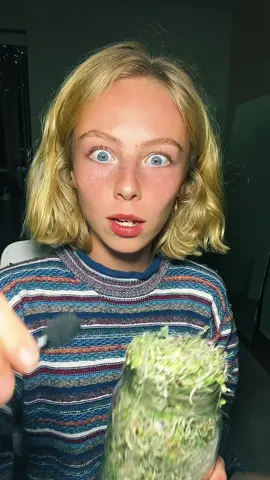 HOW TO SPROUT AT HOME🌱THIS IS A GAME CHANGER 🔥🔥🔥#howtogrowsprouts #healthylifestyle #plantbased #trueleafmarketpartner #foryou 