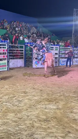 Semi-final do Rodeio de Santa Rosa Goiás❤️‍🔥🔥 equipe marca-texas um show de qualidade✅❤️‍🔥💪🏽 . . . . . . #rodeio#rodeioemtouros#Goias#tiktok#agronegocio#cowboy#adrenaline#viral#locutor#brasil🇧🇷#tiktok#boiadeiro 