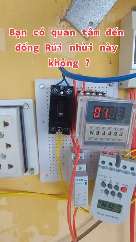 #rausach #vattulamvuonbaominh #trending #xuhuong #raukhicanhquangnam #vườn 