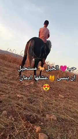 ايا عشاق😍 الخيل🐎 كامل بانو هنا  ♥