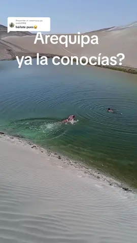 Respuesta a @acida2088 El oasis escondido de  Arequipa.  #arequipa #arequipa_peru🇵🇪 #oasis #oasisarequipa #disfrutalavida #amalavida #lavidaesbella #solteritoyfeliz #elcaminante3 