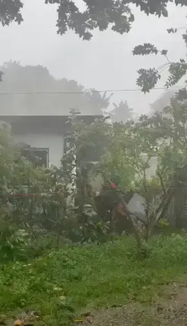 STAY SAFE, EVERYONE! ☔  Residents of Lipa, Batangas experience heavy rains and strong winds due to #EgayPH on Wednesday afternoon.  PAGASA raised Tropical Cyclone Wind Signal No. 1 over the northern portions of Batangas such as Talisay, City of Tanauan, Santo Tomas, Balete, Malvar, and Lipa City.  #EgayPH will continue to bring occasional monsoon rains over the western portions of Central Luzon, Southern Luzon, and Visayas in the next three days.#weatherupdate #philippinestar   Video/Janelle Lorzano