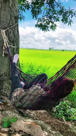 về quê ngoại thích nhất nằm võng ngắm cánh đồng lúa...  #xuhướng #chillmộtchút #nhạcxuhướngtiktok #LearnOnTikTok 