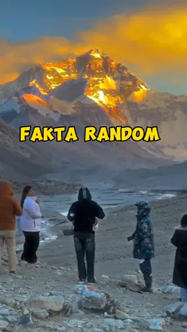 Kamu tau ga sih?? #faktarandom #faktaunik #faktamenarik #infounik #faktadunia #infodunia #foryou 