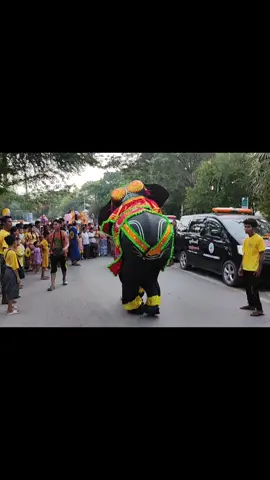 #fypシ #fypပေါ်ရောက်စမ်း😒👊🏻မရောက်လည်းနေ🥴 #မြင်ပါများပီးချစ်ကျွမ်းဝင်အောင်လို့🤒🖤 #myanmar #ဘာညာဘာညာ #မျိုးခန့်မောင် #ဆင်အကလေးအားပေးကြပါအုန်း👋👋👋👋👋 #tittokmyanmar🥰🥰 #ဆင်အက #ဆင်က 