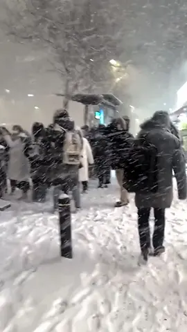 It's starting to snow in Shanghai