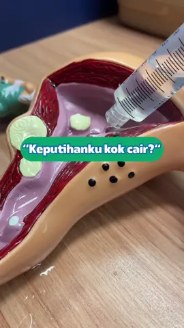 Keputihan cair kayak pipis emang aman? Jangan auto panik ya gaes❌ #keputihan #edukasikesehatan #fakesituation⚠️ #infokesehatan #kesehatanreproduksiwanita #JagaSehatmu #KlikDokter 