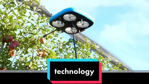 Ứng dụng công nghệ vào nông nghiệp #dientuhl #DIY #iot #TikTokGiaiTri #electronics #LearnOnTikTok 