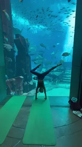 Down dog under the sea 🧘‍♀️🐠🐟